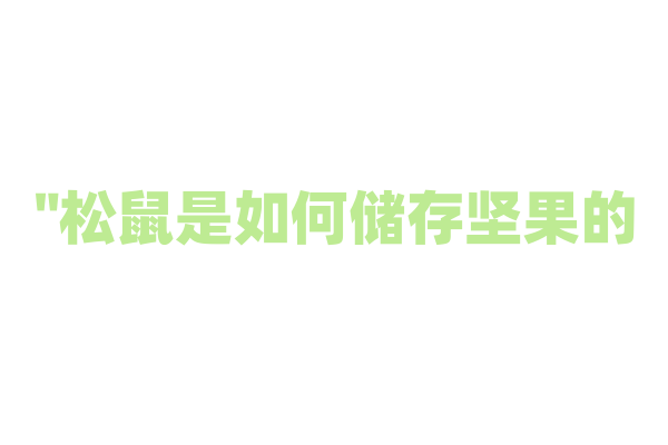 "松鼠是如何储存坚果的？"